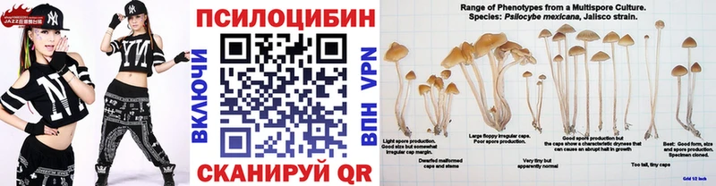 Галлюциногенные грибы мухоморы  Калуга 