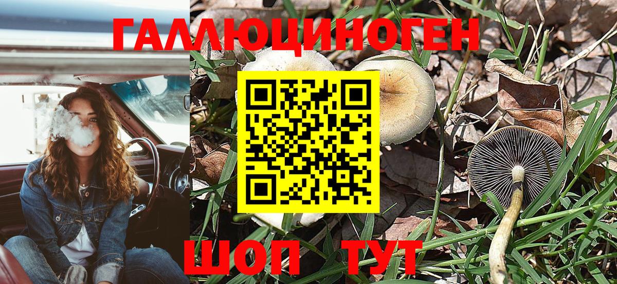 Псилоцибиновые грибы мицелий  Вход с VPN  Калуга 